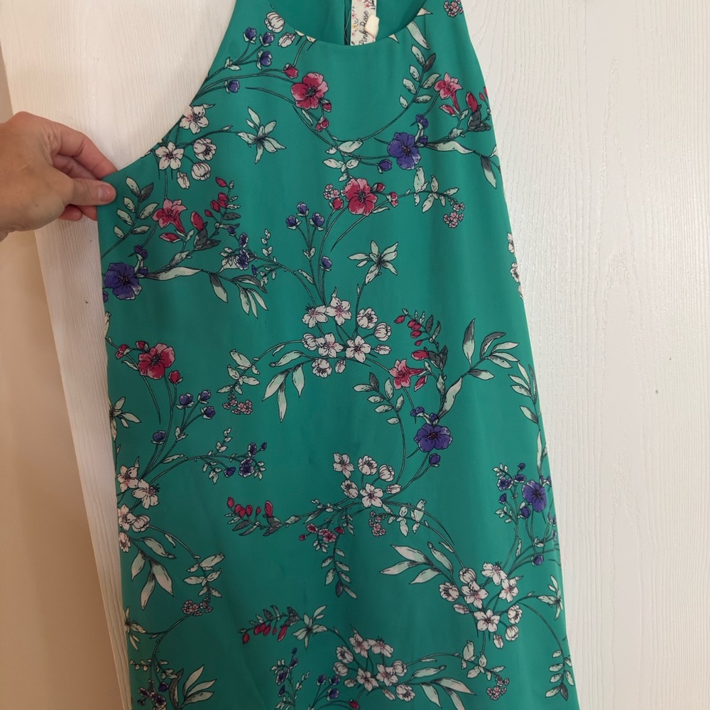 Pink Rose Teal Floral Dress